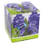 Платочки косметические, Bella (Белла №1) 80 шт арт. BE-042-K080-016 / K080-004 двухслойные экстра софт гиацинт коробка